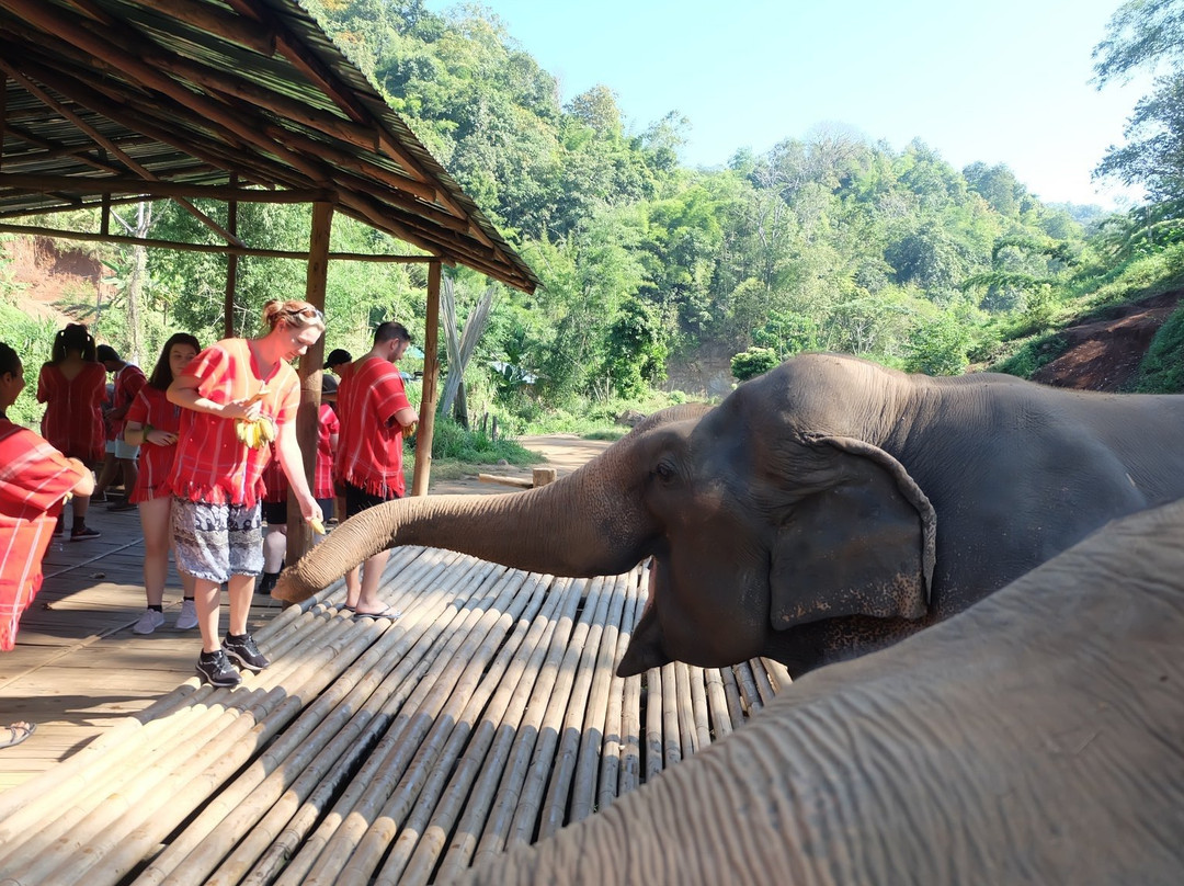 Chiang Mai Fun景点图片