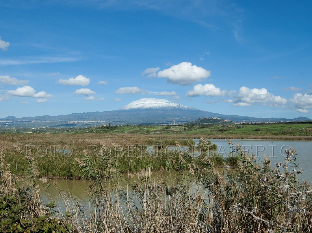 Oasi di Ponte Barca景点图片