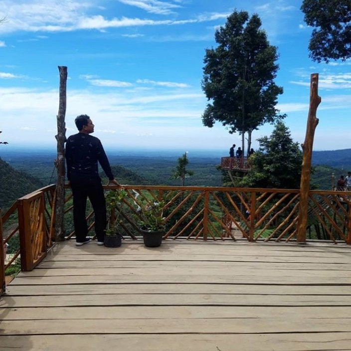 Rumah Pohon Habitat Tour-Binjai必去景点