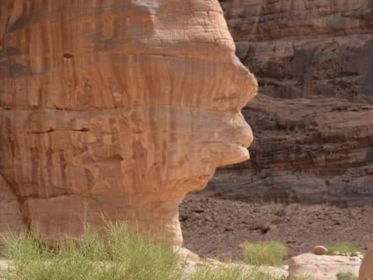 Wadi Rum Desert Tours-瓦地伦必去景点
