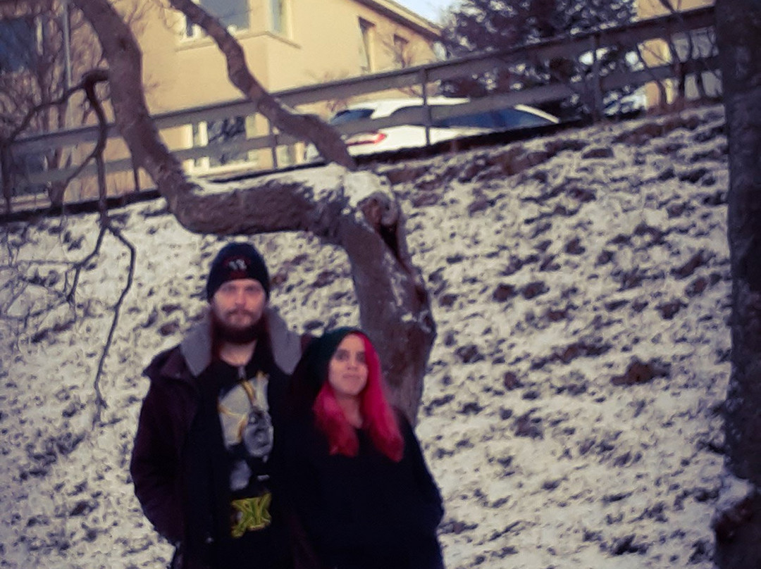 Hellisgerdi Park-哈夫纳夫约杜尔必去景点