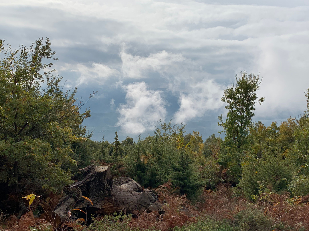 Mount Ossa-Nessonas必去景点