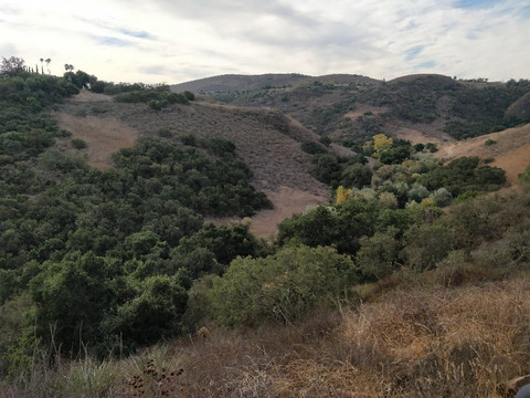 Paradise Falls-千橡市必去景点