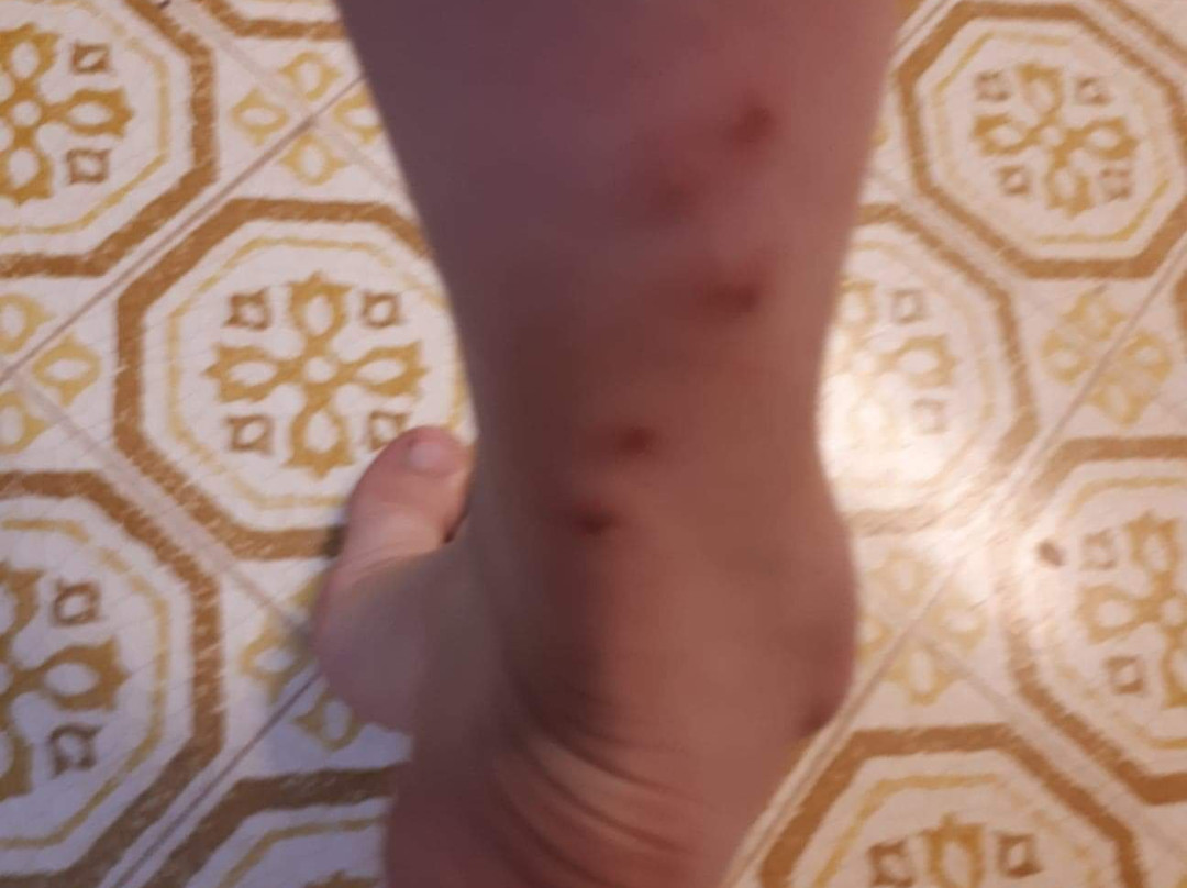 Comfort Inn & Suites Langley主图