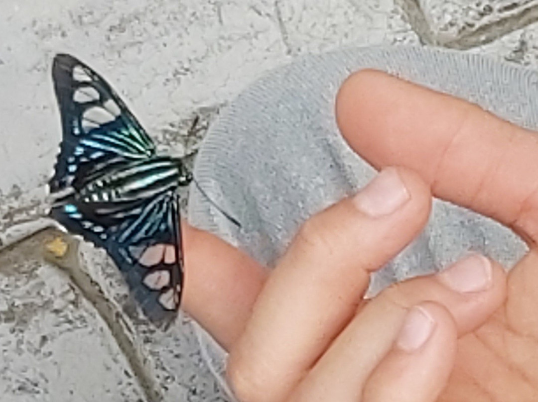 Paco's Reserva De Flora & Fauna-马萨特兰必去景点