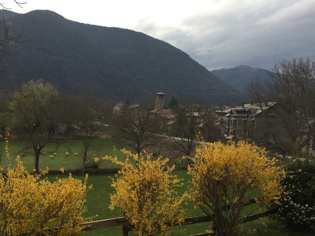 Hotel Vina Olivan主图