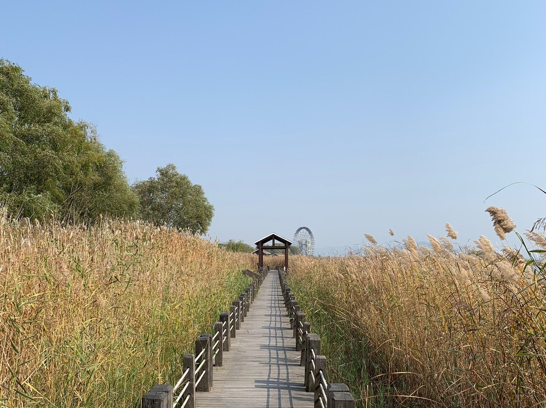 苏州太湖湿地公园景点图片