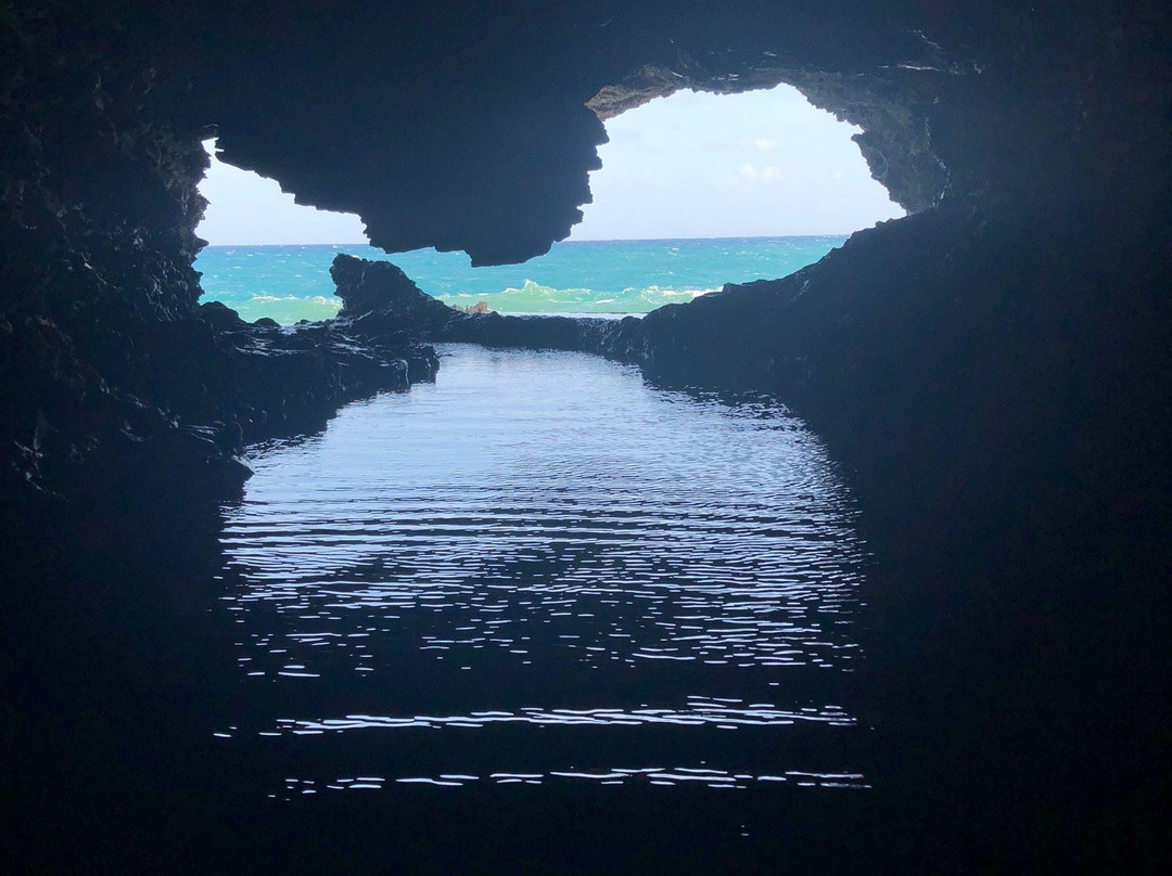 Williams Tours Barbados-布里奇顿必去景点