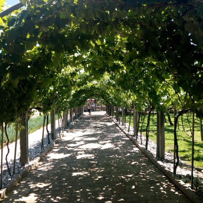 Casa Valduga Winery-本图贡萨尔维斯必去景点