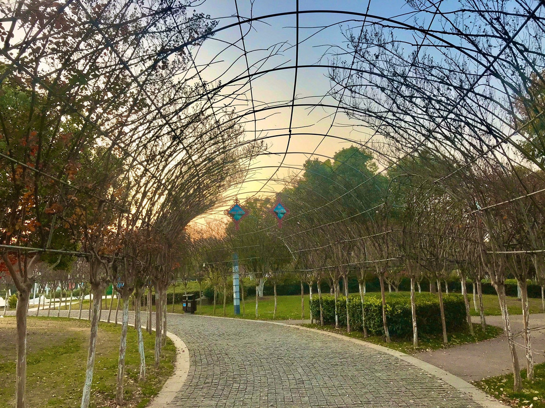 江苏宿迁市泗洪县步行街-泗洪县必去景点