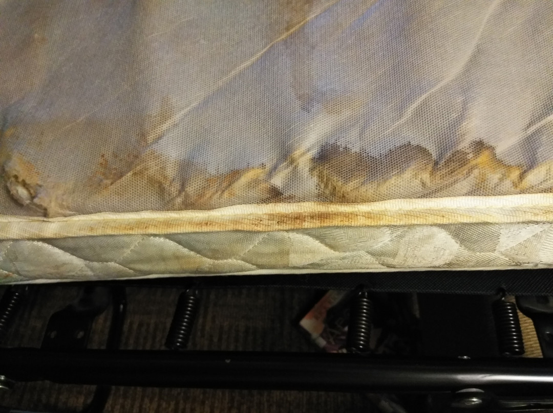 Quality Inn & Suites Lenexa Kansas City主图