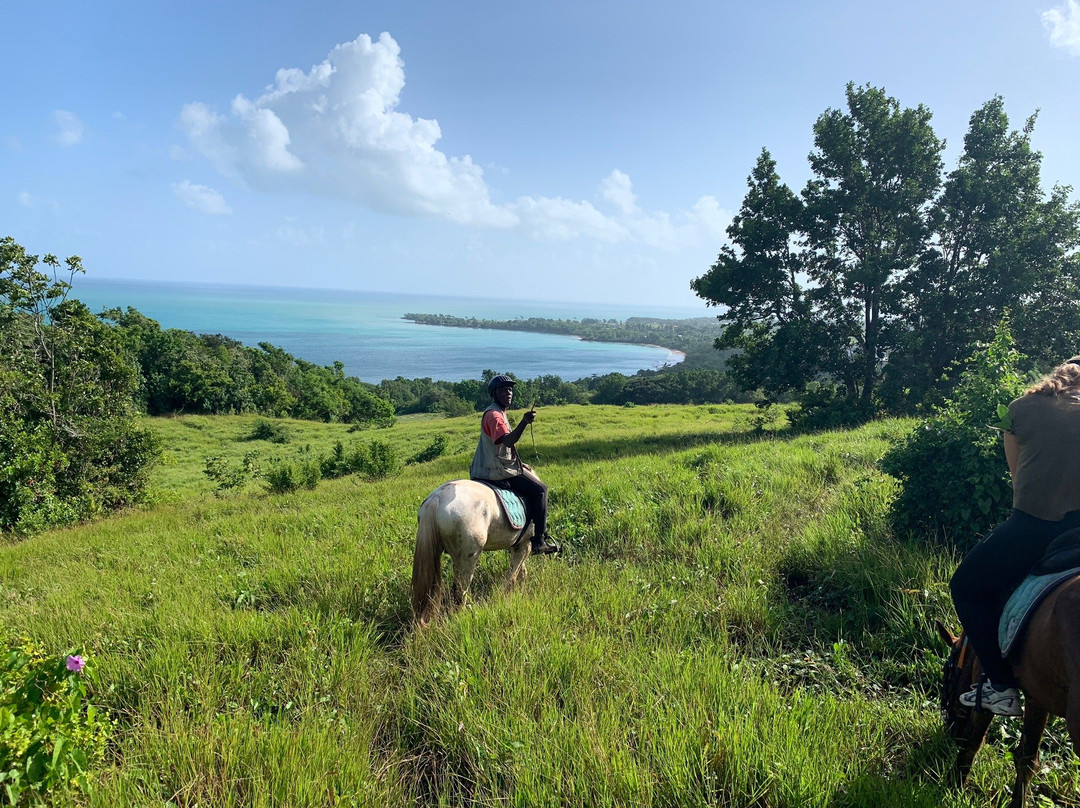 Ranch des 2 Îlets-Deshaies必去景点