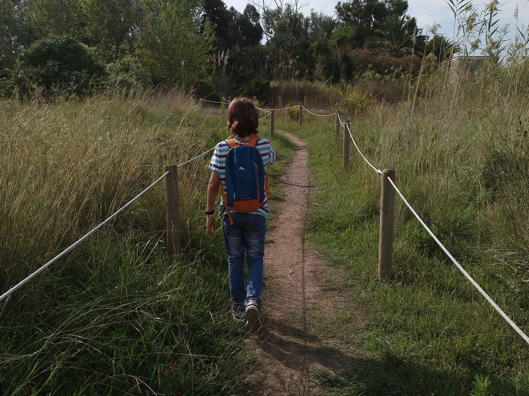 El Remolar-Filipines-比拉德坎斯必去景点