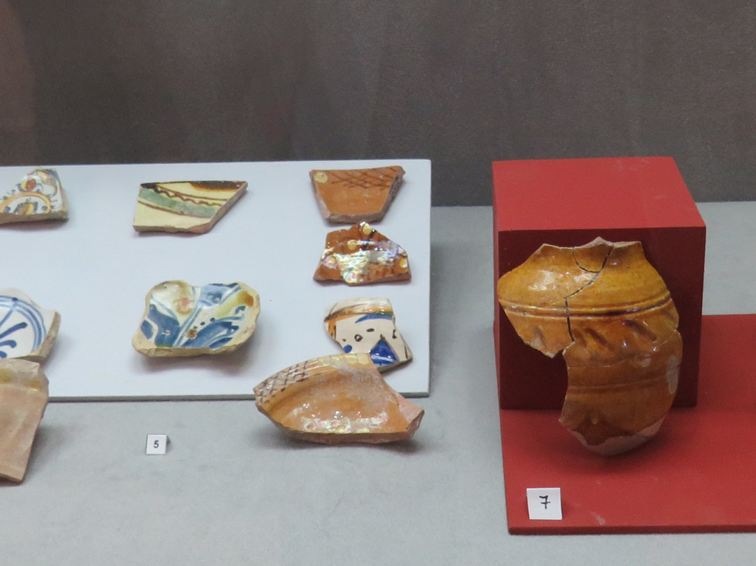 Museo Civico "Don G. Guarnieri"景点图片