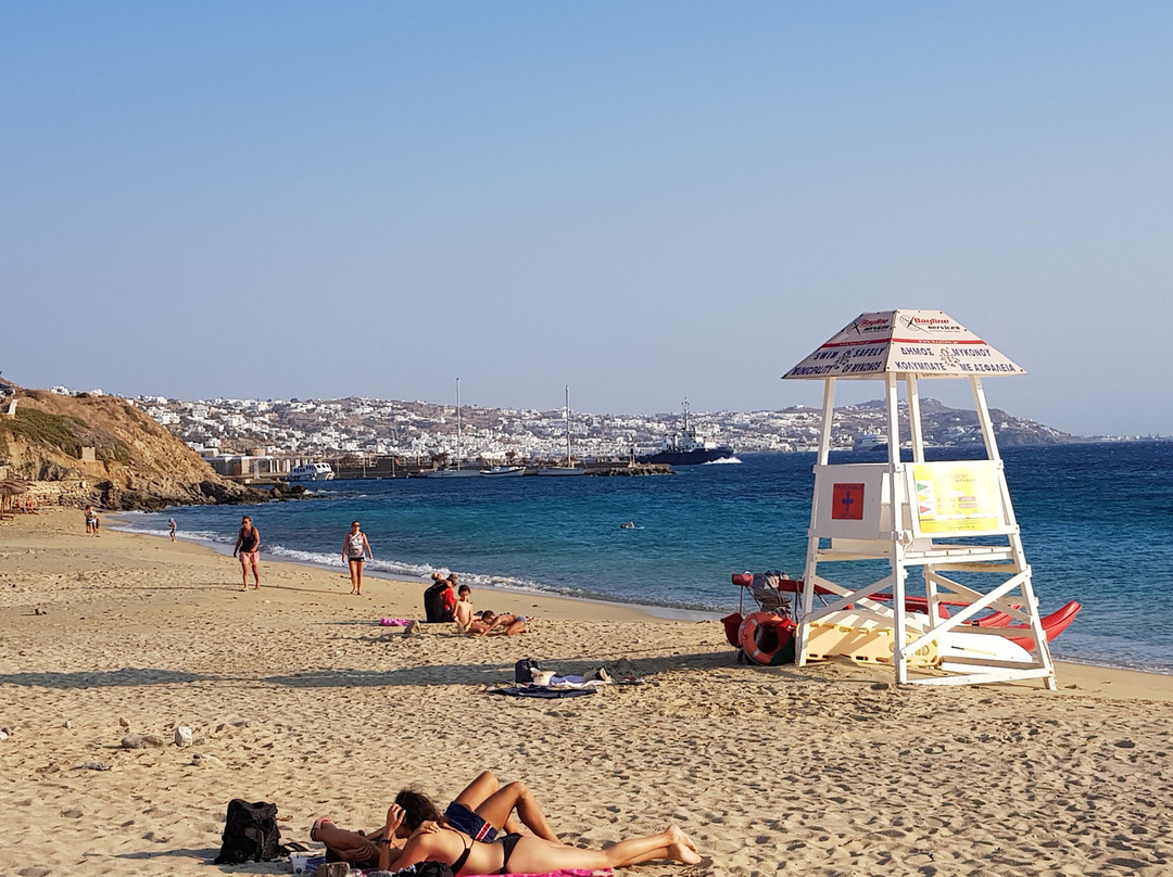 阿尔克斯提斯酒店主图