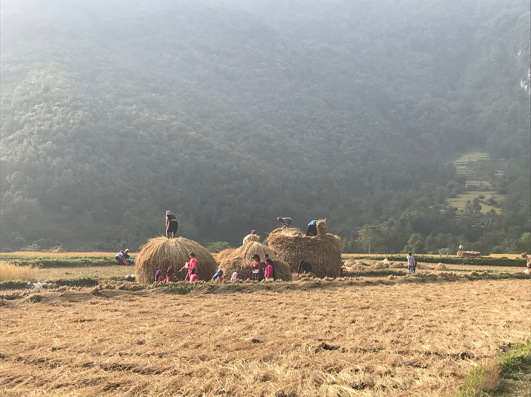 Annapurna Mon Village主图