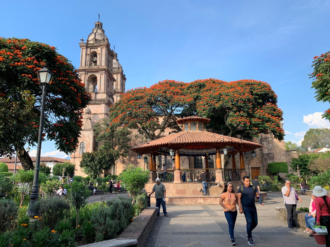 Parroquia de San Francisco de Asis景点图片