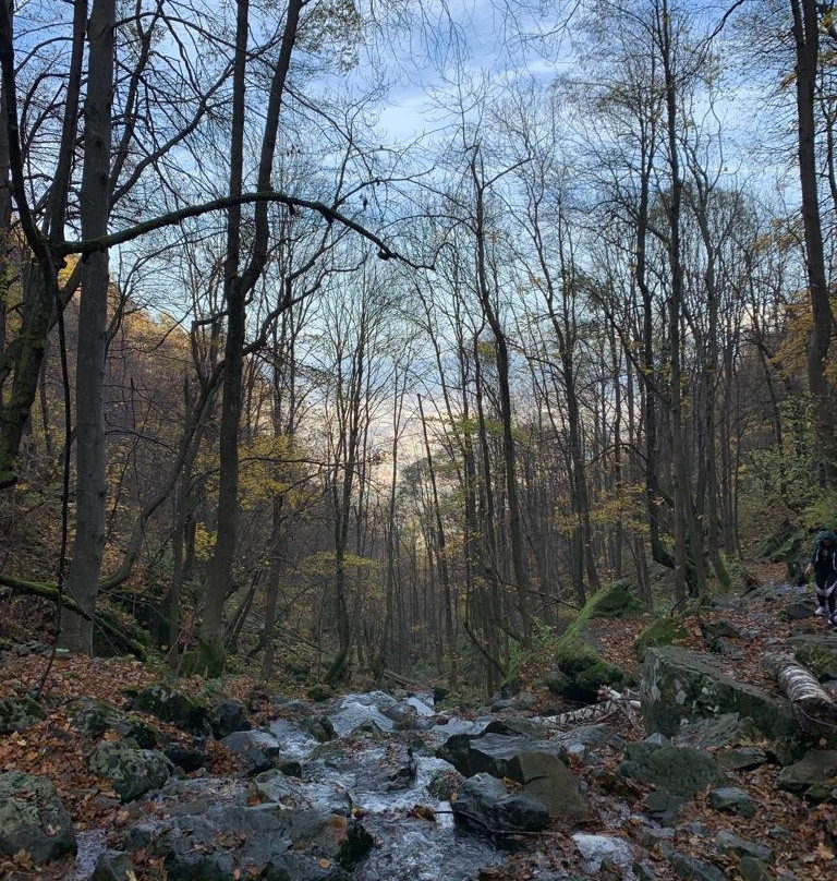 Sofia Green Tour-索非亚必去景点