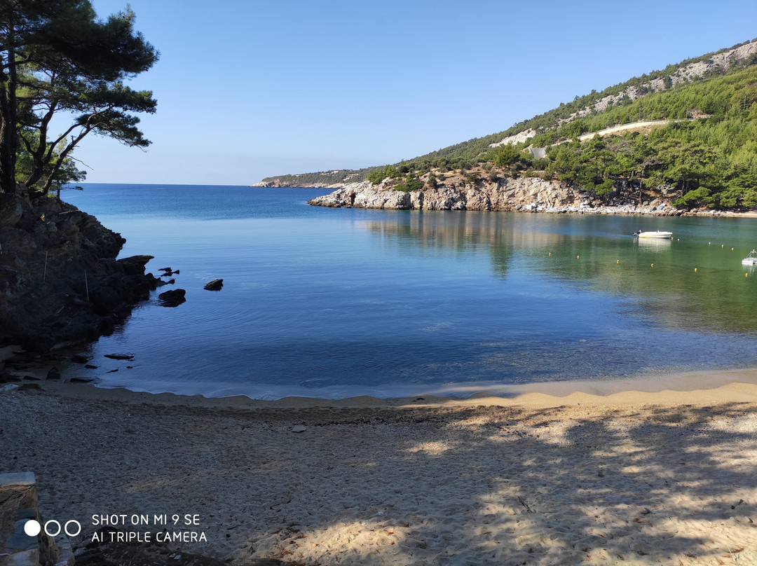 Thassos Grand Resort主图