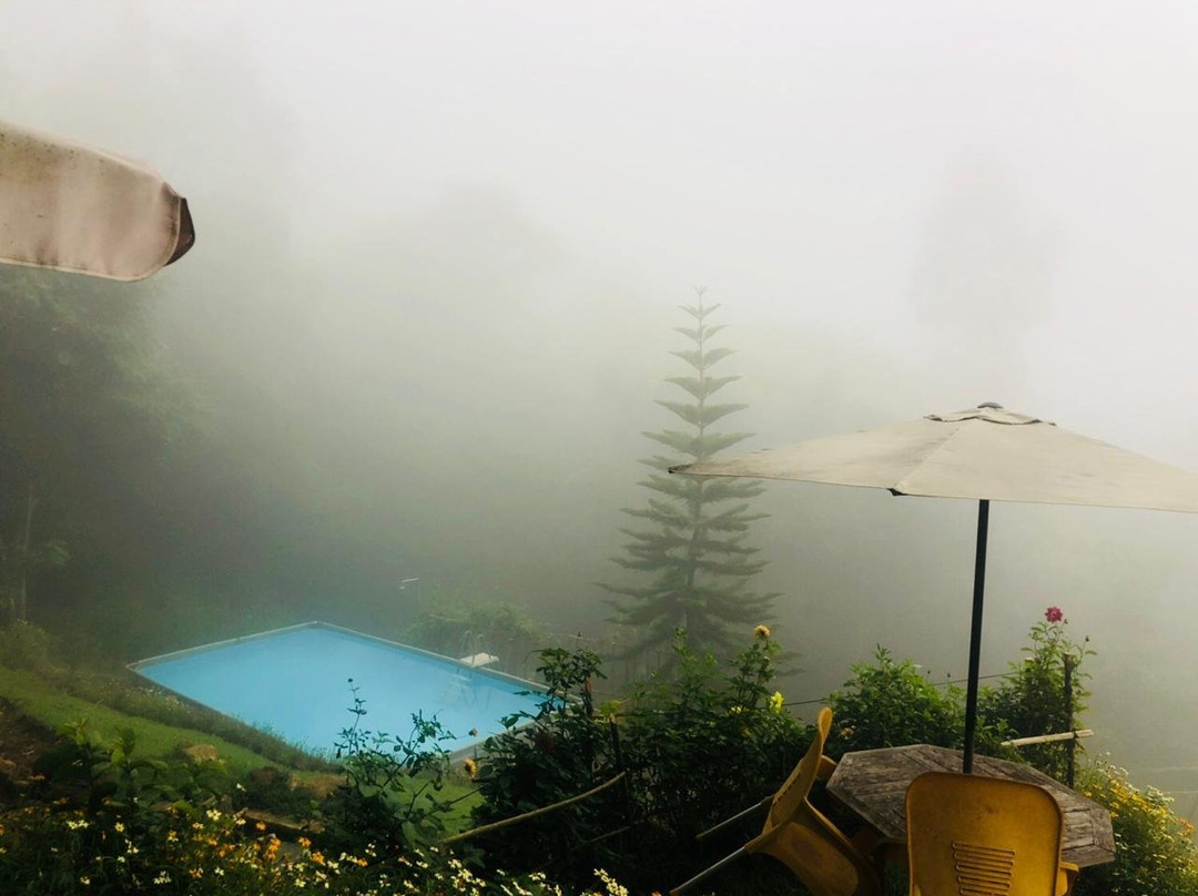 Morning Mist Guesthouse主图