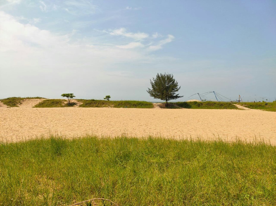 Munambam Beach景点图片