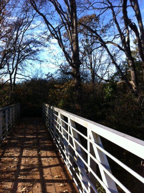 Cuthbert Holmes Park-Saanich必去景点
