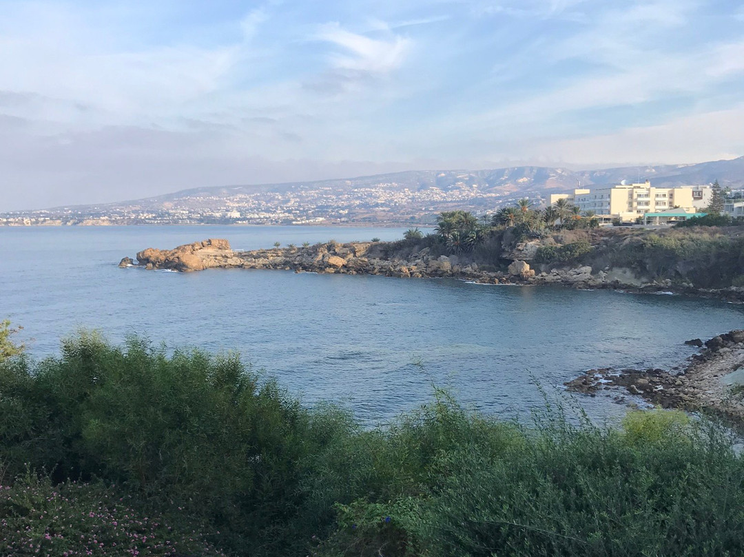 Cynthiana Beach Hotel主图