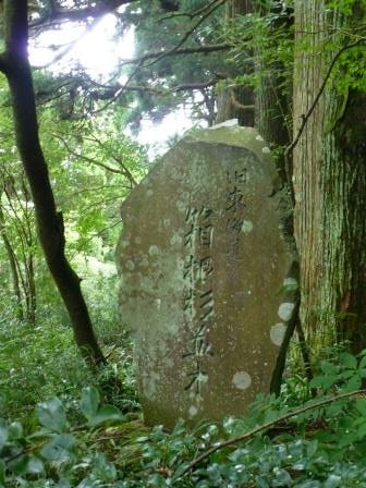 Cedar Trees of Hakone Old Road-箱根町必去景点