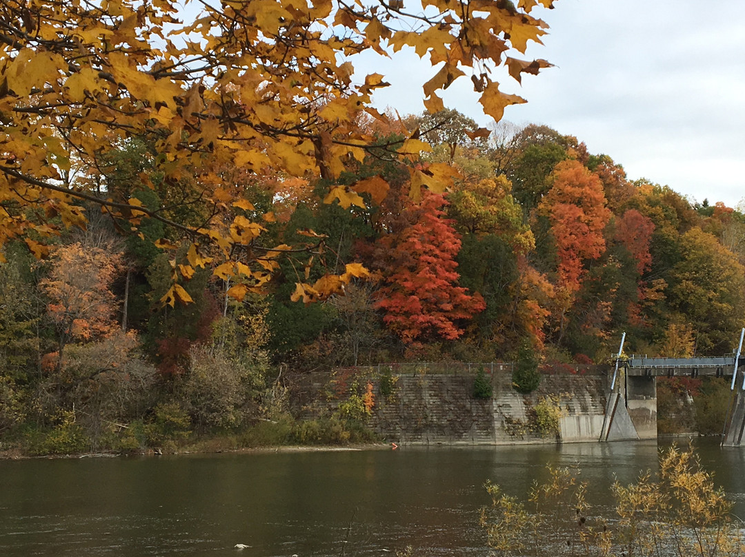 Springbank Park-伦敦必去景点