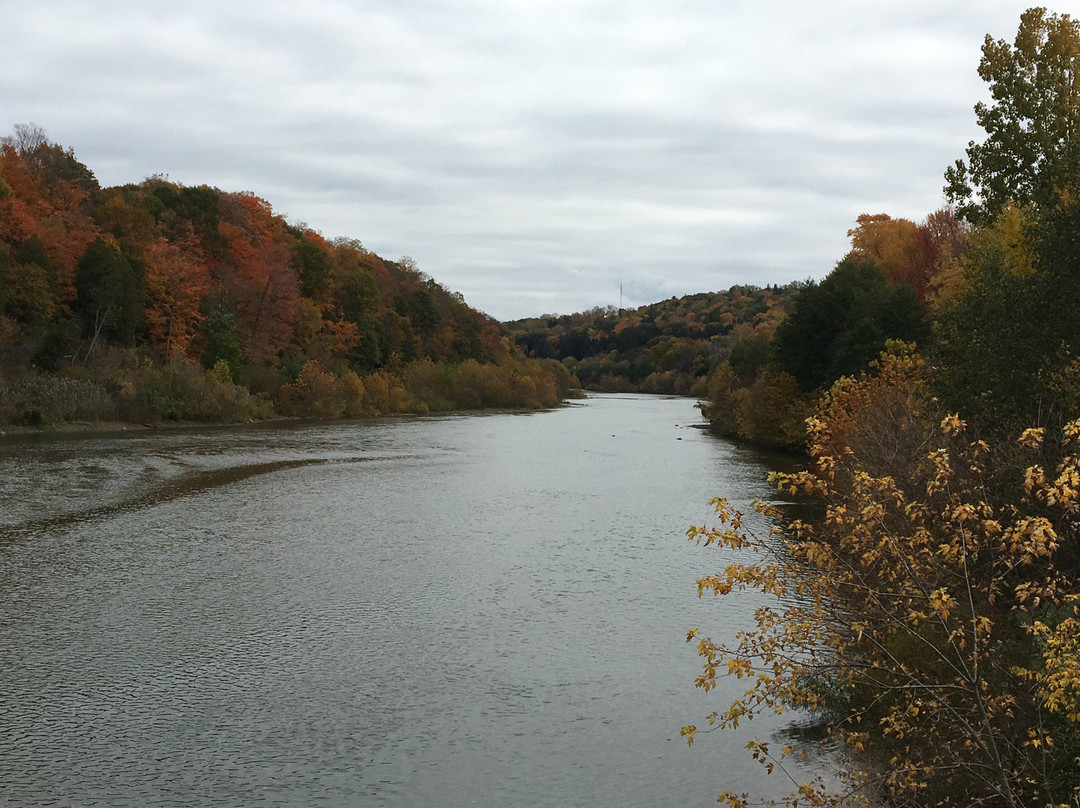 Springbank Park-伦敦必去景点