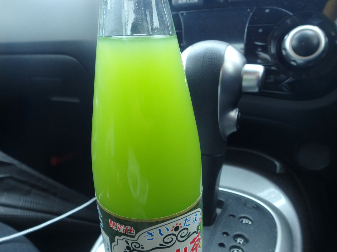 Sayama Parking Area Inner loop-狭山市必去景点