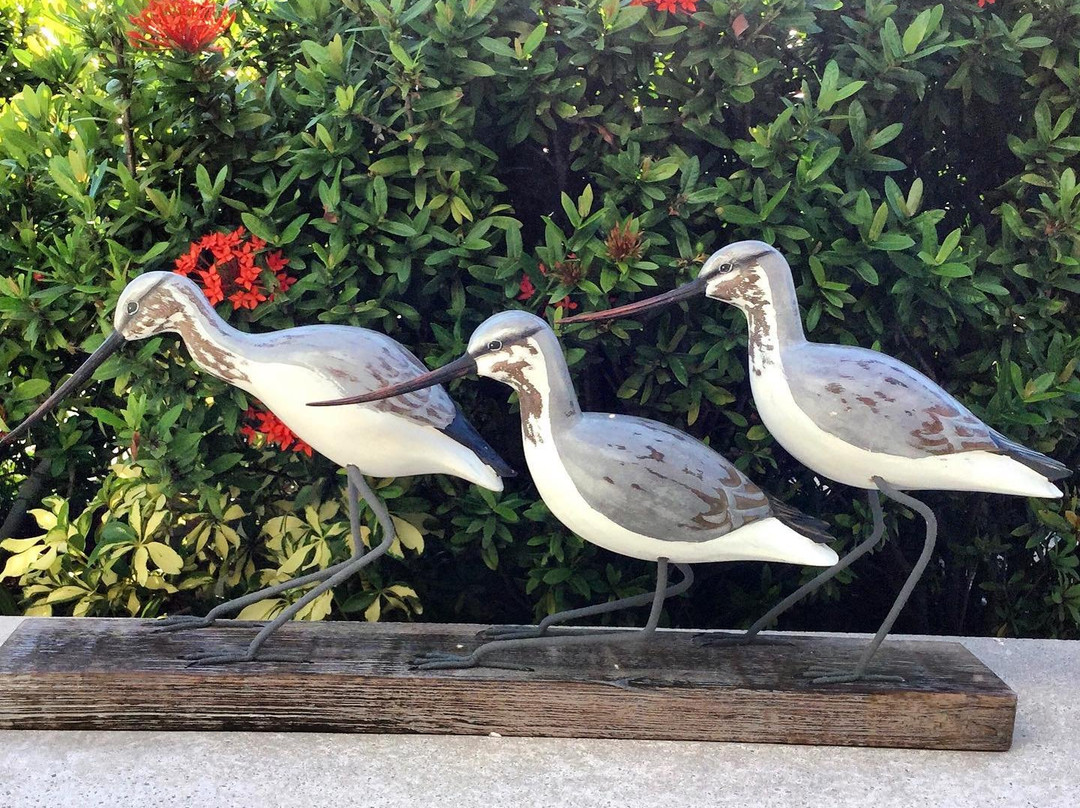 Just/Because-萨拉索塔必去景点