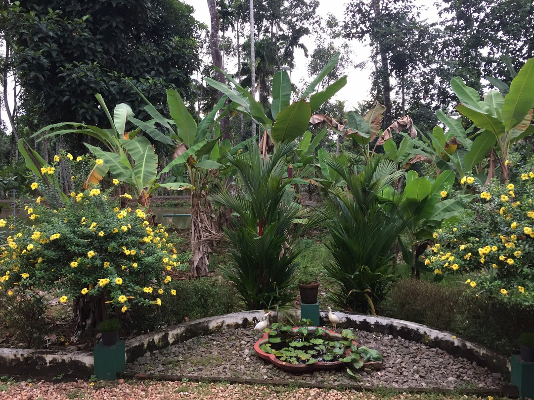 Kuttickattil Gardens Homestay主图