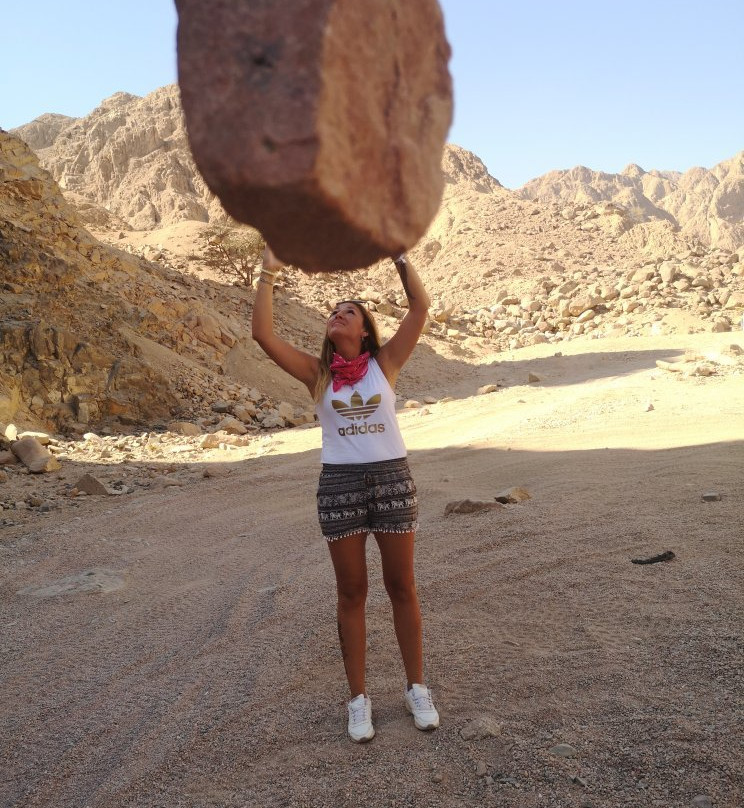 Canyon Motor Safaris-塔巴必去景点