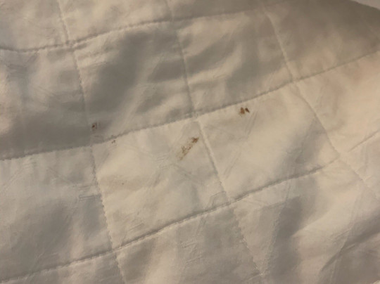 Delta Downs Hotel & Casino主图