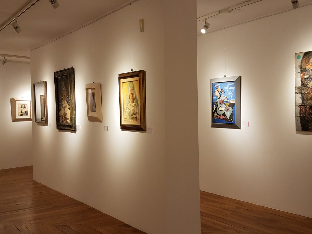 Museo d'Arte Moderna e Contemporanea Antonio Ortiz Echague-Atzara必去景点