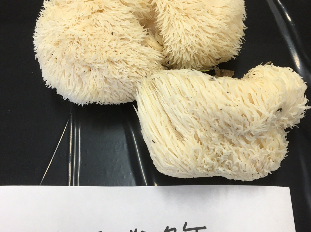 Old Hirata Family's House-北斗市必去景点