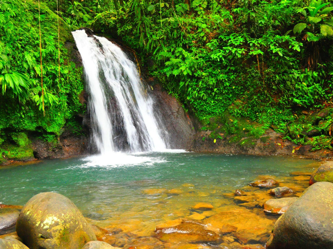 Guadeloupe National Park景点图片