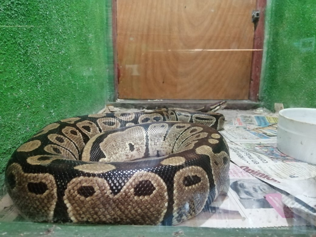 El Serpentario景点图片