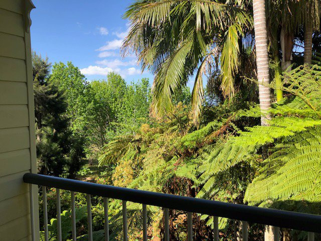 洋洋显达度假上海酒店主图