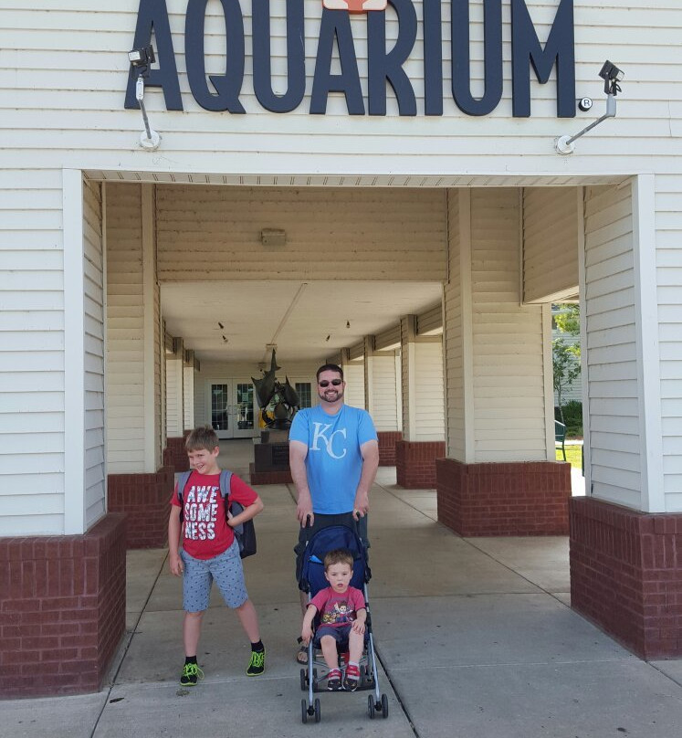 Oklahoma Aquarium景点图片