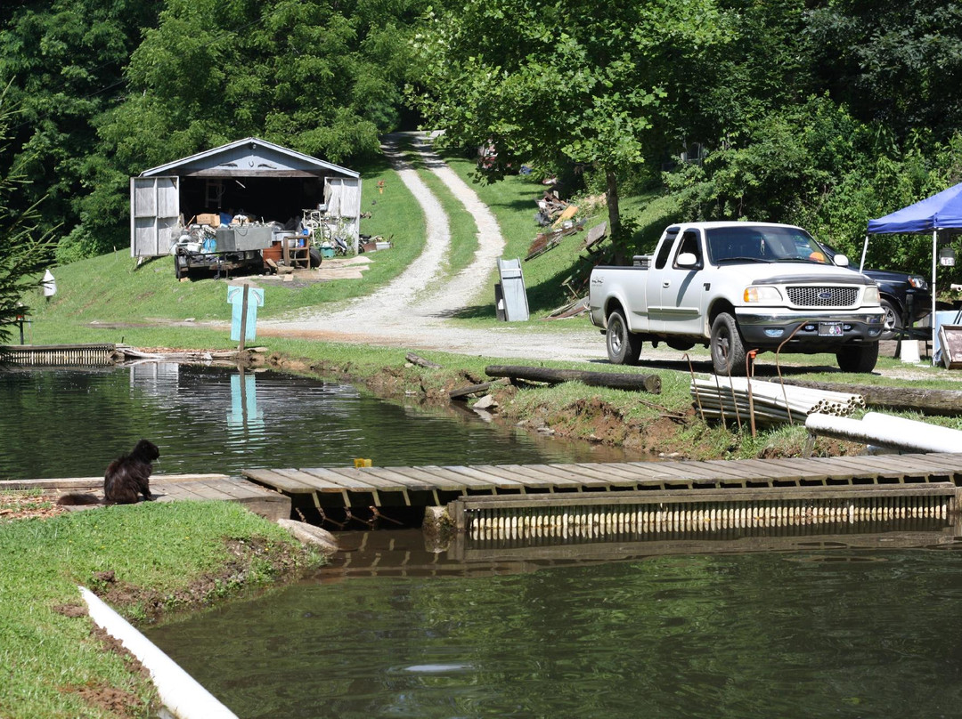 Otter Creek Trout Farm景点图片