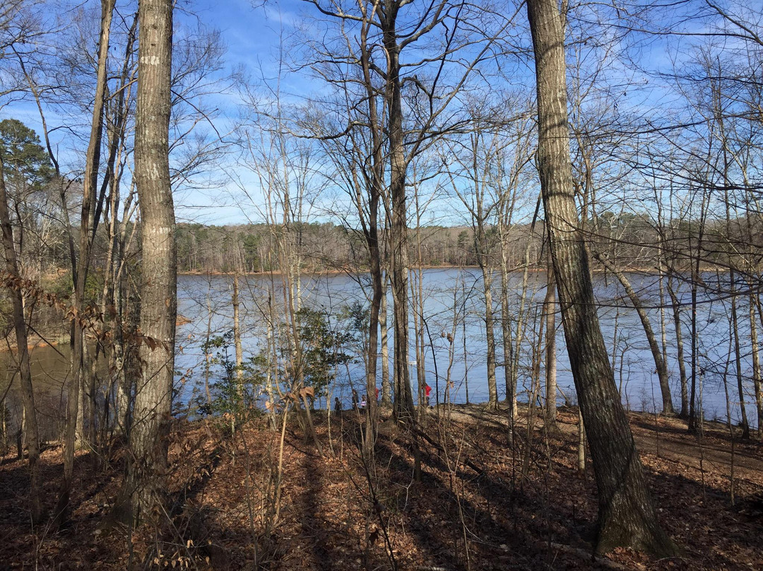 Blue Jay Point County Park景点图片