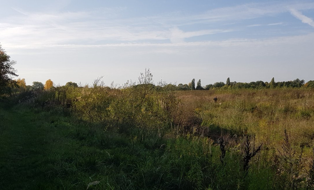 Halde Rungenberg景点图片