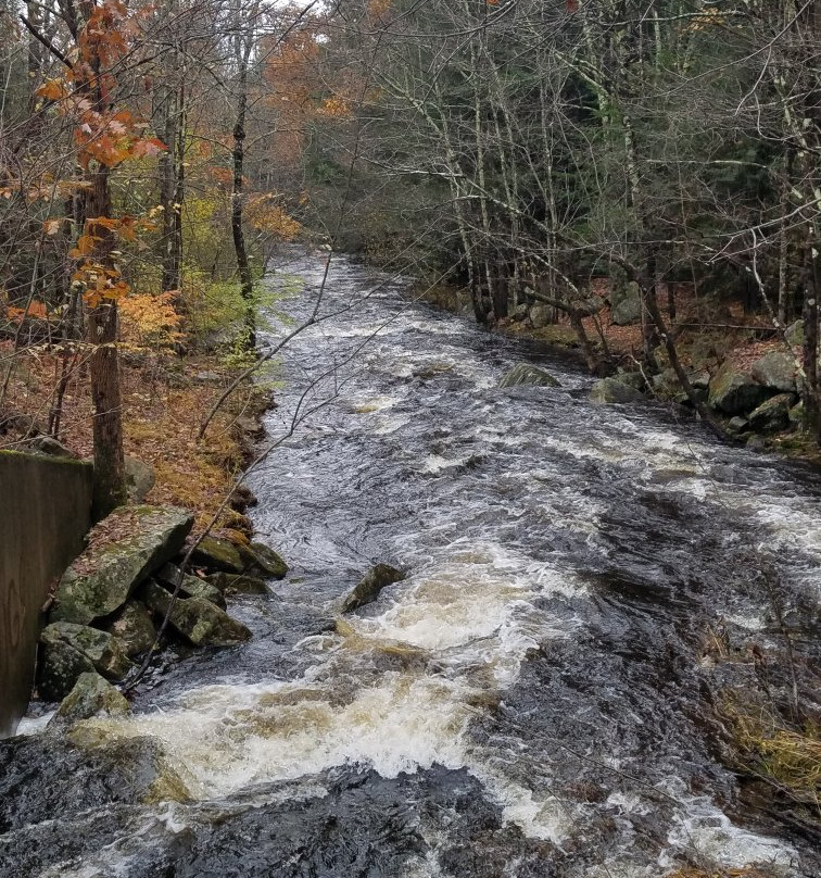 Sunny Brook State Park景点图片