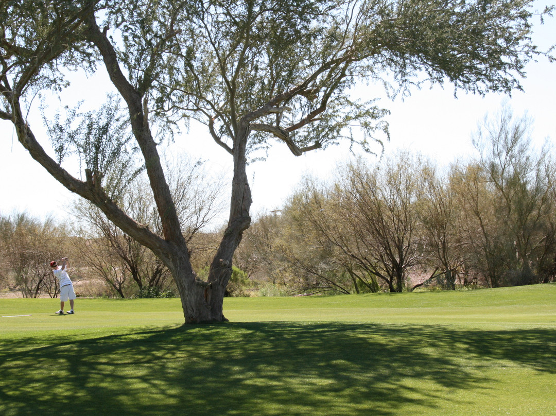 Gold Canyon Resort - Sidewinder Golf Course景点图片