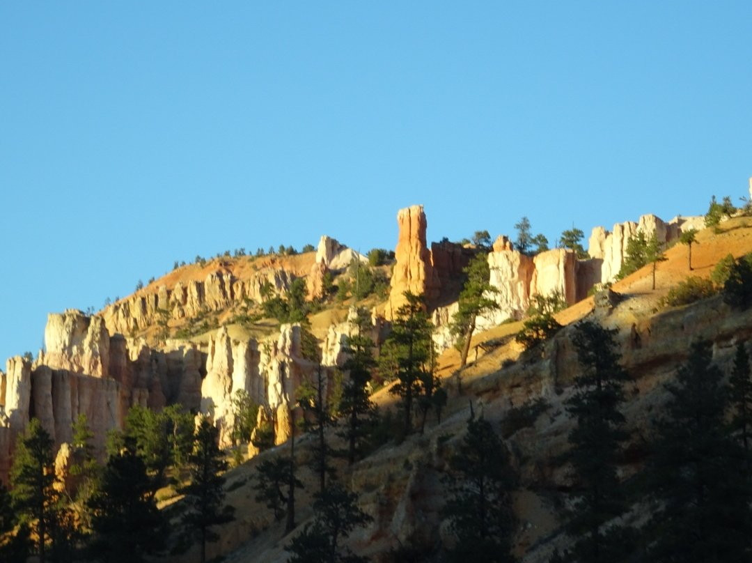 Escalante Petrified Forest State Park景点图片