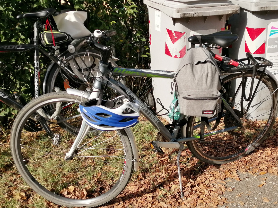 Dynamo La Velostazione景点图片