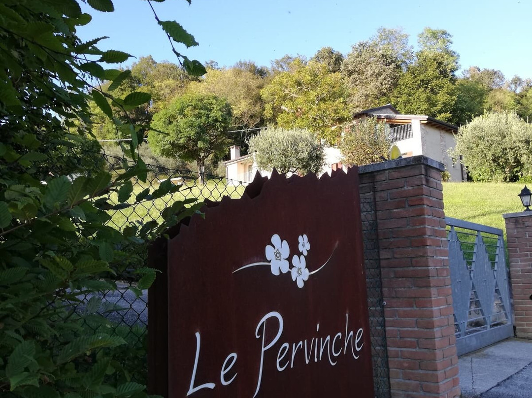 Le Pervinche主图
