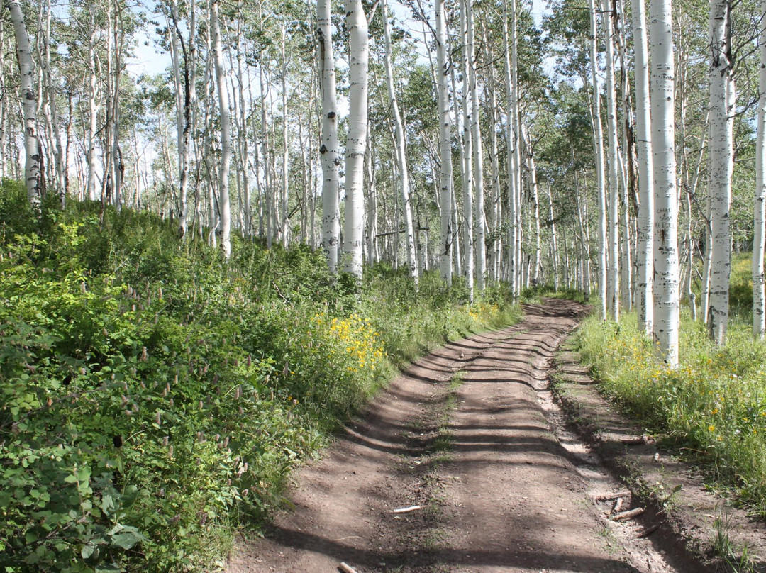 Skyline Drive (Great Western Trail)-Ephraim必去景点